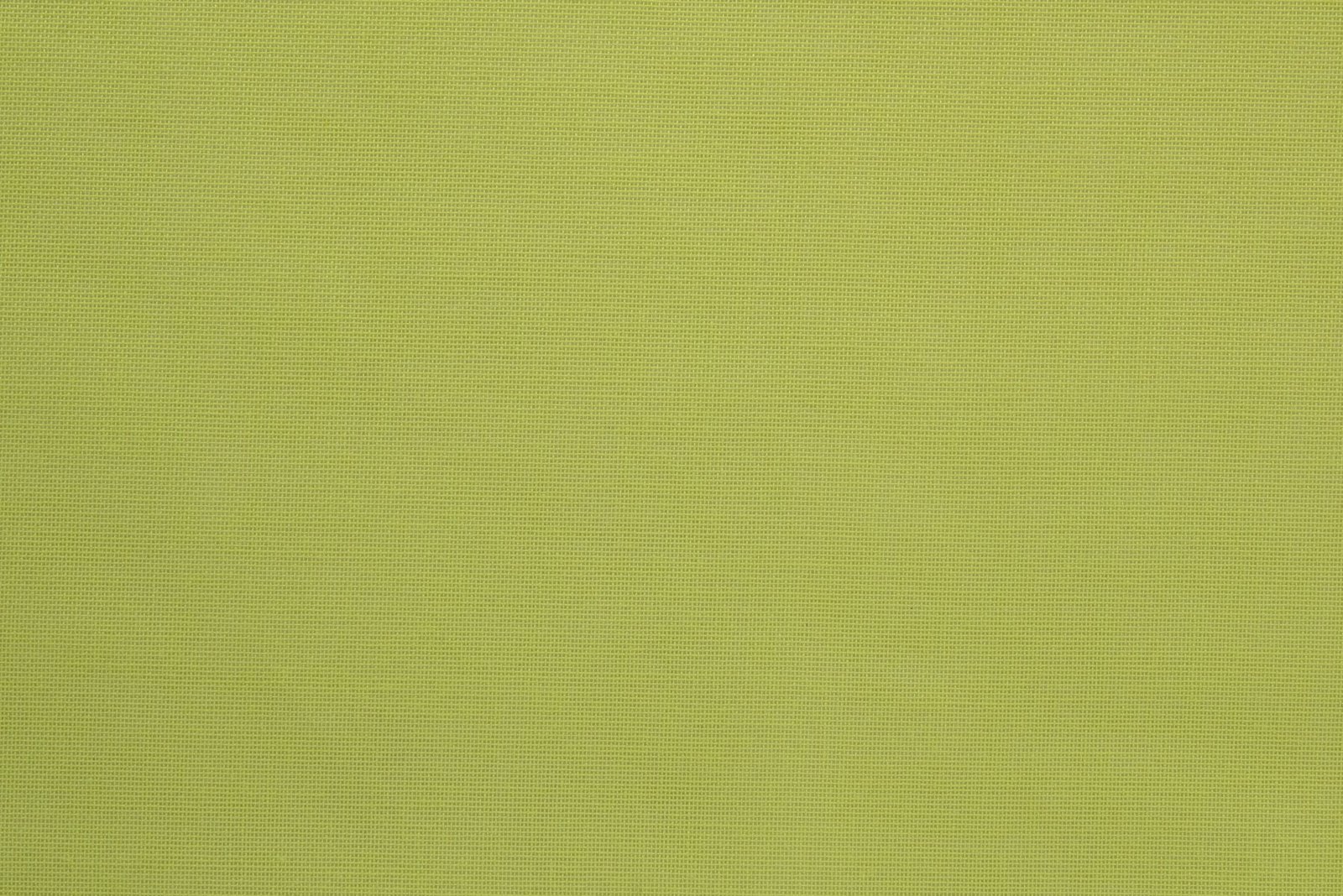 APL ETAMINE 36 CACTUS