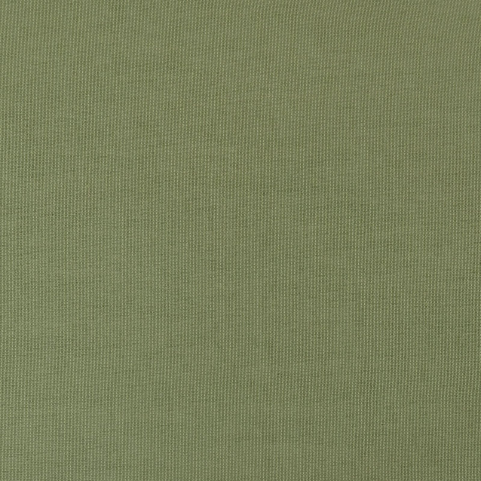 APL ETAMINE OLIVE 61